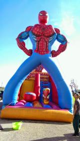 Slideshow Image 2